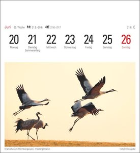 Schweden Kalender 2022