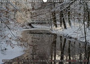 Das Steinfurter Bagno im Wandel der Jahreszeiten (Wandkalender 2023 DIN A3 quer)