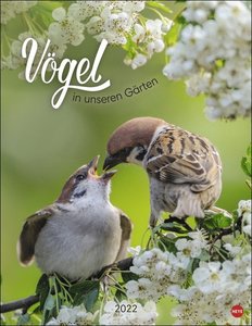 Vögel in unseren Gärten Posterkalender 2022