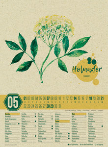 Saisonkalender - Obst & Gemüse - Graspapier-Kalender 2023