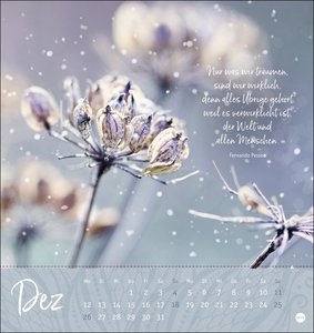 Ich wünsch dir ... Zeit zum Träumen Postkartenkalender 2022