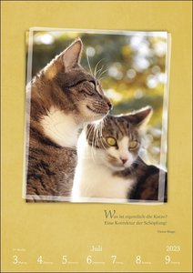 Literaturkalender Katzen Wochen-Kulturkalender 2023. 53 Katzenporträts und katzenverliebte Literaturauszüge in einem Wochenkalender 2023. Dekorativer Kalender für Katzenliebhaber.