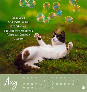 Never give up! Postkartenkalender 2026