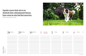 Tischkalender Hunde 2025