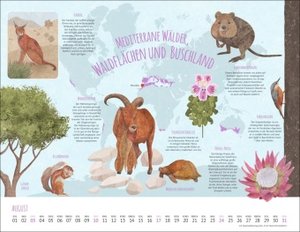 Wo Tiere und Pflanzen zu Hause sind Kalender 2025