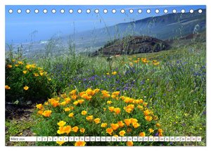 Teneriffa Insel der Glückseligen (Tischkalender 2024 DIN A5 quer), CALVENDO Monatskalender