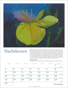 DIE ZEIT Neulich im Beet Kalender 2026