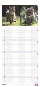 Whiskas Familienplaner Kalender 2022