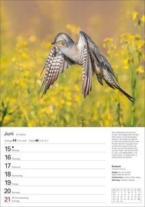 Heimische Vögel Wochenplaner 2026