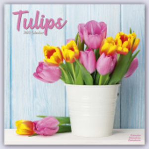 Tulips - Tulpen 2023