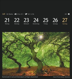 Magic Nature Postkartenkalender Kalender 2025 - Kalender mit 53 Postkarten