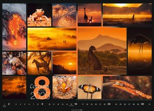 Colours of Nature Kalender 2026