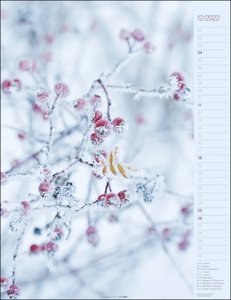 Von Blättern & Blüten Kalender 2022