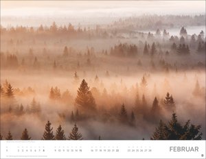 Schönheit des Waldes Posterkalender 2026