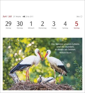 Momente des Glücks Postkartenkalender 2026 - Wochenkalender mit Zitaten, mit 53 Postkarten