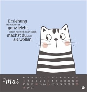 Katzensprüche Postkartenkalender 2023