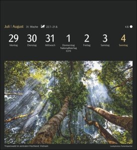 Magic Nature Postkartenkalender 2024. Tischkalender zum Aufstellen und Aufhängen mit 53 Postkarten: Landschafts- und Tierfotos zum Sammeln und Verschicken
