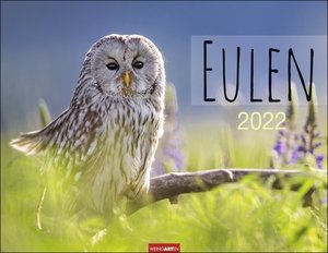 Eulen Kalender 2022