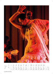 Flamenco color 2023