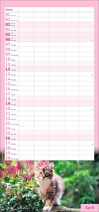times&more Katzen Familienplaner 2026