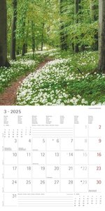 Wege 2025 - Broschürenkalender 30x30 cm (30x60 geöffnet) - Kalender mit Platz für Notizen - Paths - Bildkalender - Wandplaner - Naturkalender