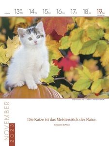 Literaturkalender Katzen 2023
