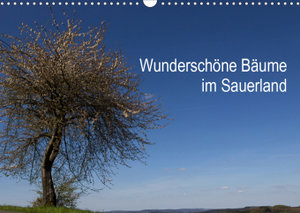 Wunderschöne Bäume im Sauerland (Wandkalender 2021 DIN A3 quer)