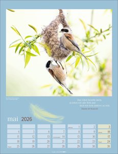 Heimische Vögel Kalender 2026