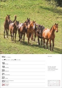 Pferde Wochenplaner 2026 - 53 faszinierende Fotografien