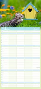 Cool Cats Familienplaner 2026