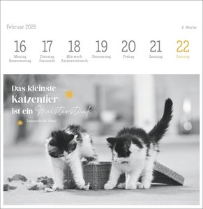 Katzen Weisheiten Premium-Postkartenkalender 2026