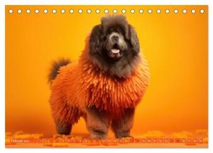 Hundemode vom Dogwalk (Tischkalender 2024 DIN A5 quer), CALVENDO Monatskalender
