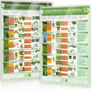 [2er Set] Essbare Wildkräuter für Grüne Smoothies - Erkennungskarten Teil 1&2 (2024), mit 1 Karte, mit 1 Beilage. Tl.1 u. 2