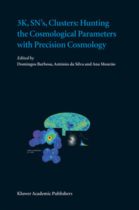 3K, SN\'s, Clusters: Hunting the Cosmological Parameters with Precision Cosmology