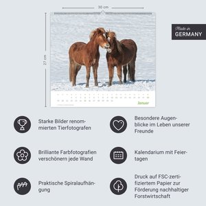 times&more Pferde Bildkalender 2026