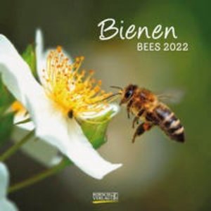 Bienen 2022