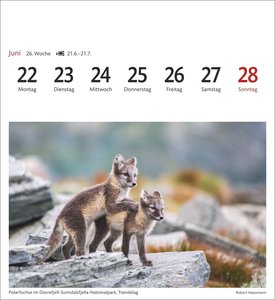Norwegen Sehnsuchtskalender 2026