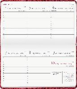 Ladytimer Pad Arabian Pattern 2023 - Taschen-Kalender 15,6x9 cm - Muster - Weekly - 128 Seiten - Notiz-Buch - Alpha Edition