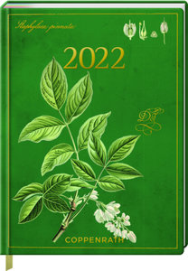 Mein Jahr 2022 - Pimpernuss (Sammlung Augustina)