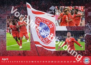 FC Bayern München Edition 2025