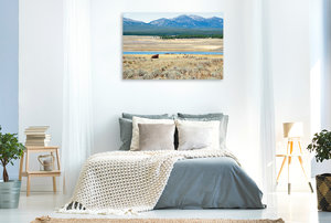 Premium Textil-Leinwand 120 cm x 80 cm quer Wandbild Hayden Valley