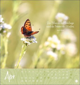 Ich wünsch dir ... Zeit zum Träumen Postkartenkalender 2022