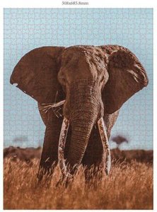 Afrikanischer Elefant 1000 Teile (Donal Boyd)