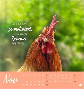 Hühner Postkartenkalender 2025