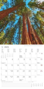 Emotions 2025 - Broschürenkalender 30x30 cm (30x60 geöffnet) - Kalender mit Platz für Notizen - Emotionen - Bildkalender - Wandplaner - Wandkalender