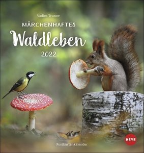 Vadim Trunov: Märchenhaftes Waldleben Postkartenkalender 2022