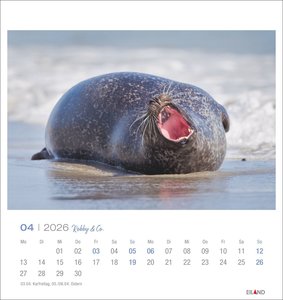 Robby & Co. Postkartenkalender 2026