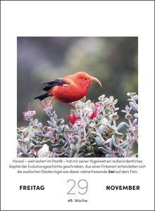 Vogelkalender 2024  - Tagesabreißkalender zum Aufstellen oder Aufhängen