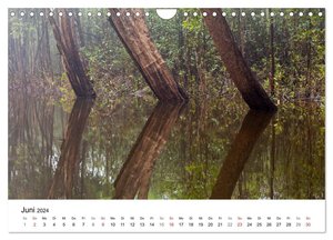 Mythos Amazonas - Naturparadies Brasiliens (Wandkalender 2024 DIN A4 quer), CALVENDO Monatskalender