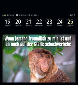 Animal Memes Postkartenkalender 2025 - 53 tierisch witzige Postkarten